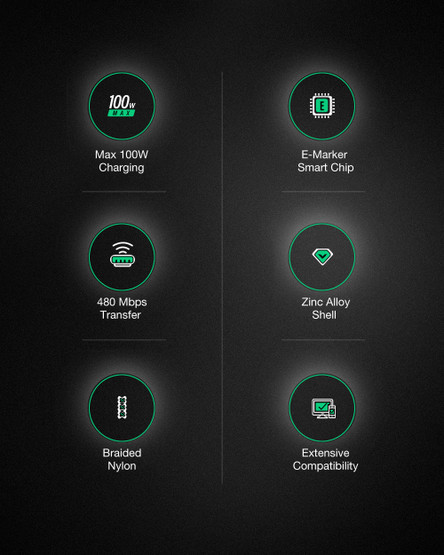 BlitzWolf® - 5A/100W USB Type-C to Type-C data/latauskaapeli, pituus 1,8m 