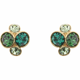 Ted Baker- Lynda, korvakorut