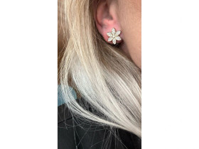 GUESS- Korvakorut, Lotus. Teräs. 