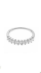 Classic silver- Hopeasormus. USEITA KOKOJA!