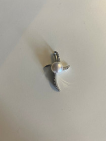 SAC Silver- Risti, hopea