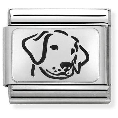 Nomination Italy- Classic,Silvershine. Koira