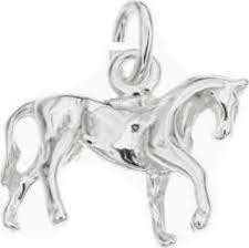 Silver Bar- Heppa, hopeariipus