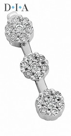 Dia from Estetika- Timanttiriipus, valkokulta