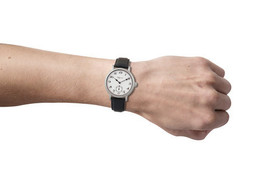 Leijona- Suomi 100 vuotta juhlamalli