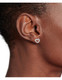 Tommy Hilfiger- Korvakorut, Toggle Heart. UNISEX