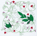 Anchor kirjontapaketit Dee Hardwicke Collection