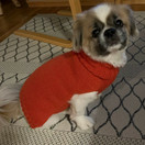 Arvier Silke Peo 30 Merino - merinovilla