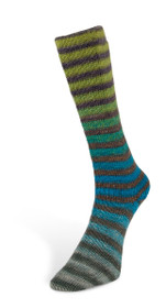 Laines du Nord 6 ply Paint Socks -merinovillasukkalanka