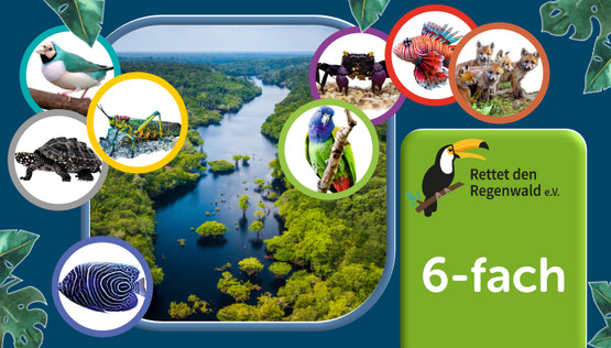 Opal Regenwald 21, 6-säikeinen sukkalanka