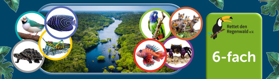 Opal Regenwald 21, 6-säikeinen sukkalanka