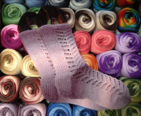 Pro Lana Woolly Hugs Year Socks