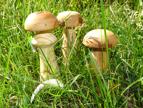 Parsinsieni