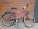 Nishiki Sonora