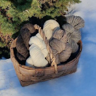 Päivillanka (230m/100g) luonnonsävyt 