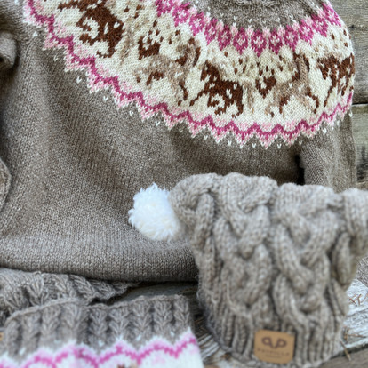 Päivillan Ciira -villis