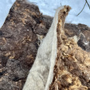 Uudistunut! PäiVillaPatjat hevosille, 100% suomalaisen lampaan villaa 