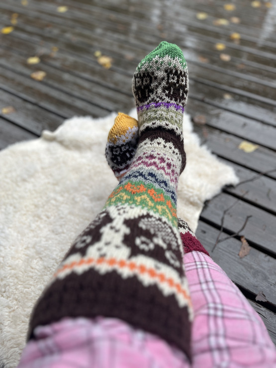 Päivilla PÖLLÖ-villasukat neuleohje