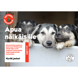Eettinen joululahja: Apua nälkäisille, arvo 25 €