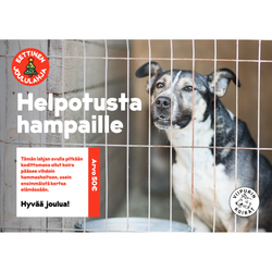 Eettinen joululahja: Helpotusta hampaille, arvo 50 €