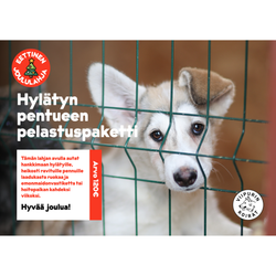Eettinen joululahja: Hylätyn pentueen pelastuspaketti, arvo 120 €