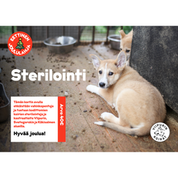 Eettinen joululahja: Ei vahinkopennuille!, arvo 40 €