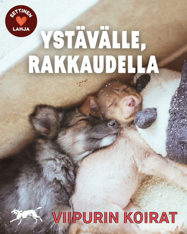 Ystävänpäivän eettinen lahja