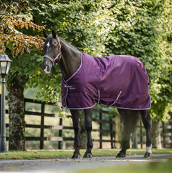 Bucas Freedom Turnout 300g fullneck ulkoimi, blackberry, koko 125cm