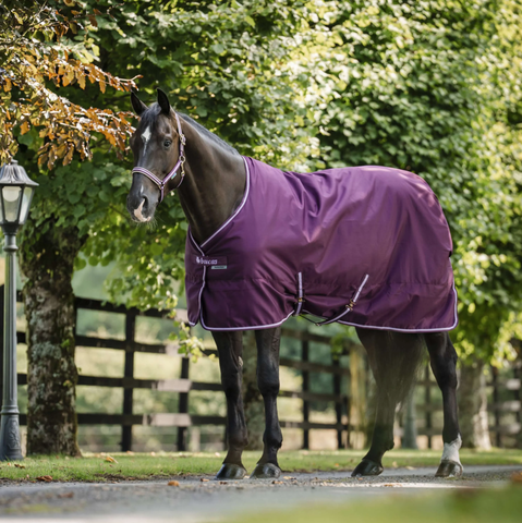 Bucas Freedom Turnout 300g fullneck ulkoimi, blackberry, koko 125cm