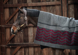 Kentucky Heavy Fleece rug square fishbone viltti, 210x200cm