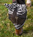 Zebra Fly Mask