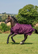 Bucas Freedom Stable 300g talliloimi, Blackberry