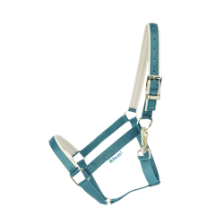 Bucas Dublin -riimu, atlantic green/silver