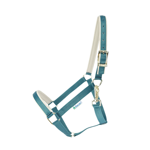 Bucas Dublin -riimu, atlantic green/silver