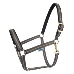 Bucas Dublin -riimu, Smoke Grey