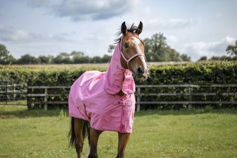 Bucas Freedom Light fullneck kuoriloimi, pinkki ja navy