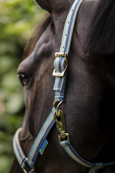 Bucas Dublin -riimu, Turquoise