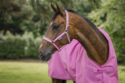 Bucas Dublin -riimu, Aurora Pink