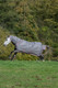 Bucas Freedom Turnout 300g fullneck ulkoloimi, rasberry & smoke grey
