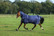 Bucas Freedom Light fullneck kuoriloimi, pinkki ja navy