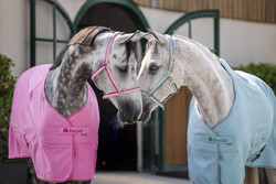 Bucas Dublin -riimu, Turquoise