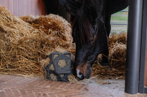Kentucky Relax Horse Play & Hay Ball, eri värejä