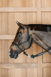 Dyon Training Halter naruriimu, musta