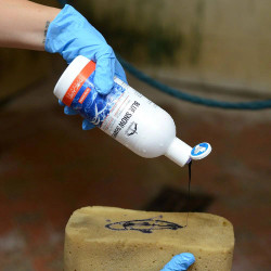 Veredus Blue Snow kimoshampoo, 500ml