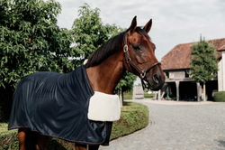 Horse BIB Sheepskin, natural