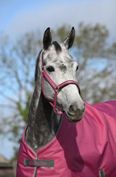 Bucas Dublin -riimu, rasberry