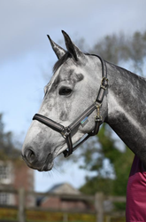 Bucas Dublin -riimu, Smoke Grey