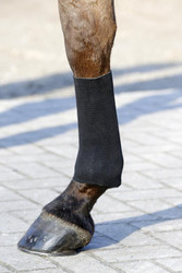 Kentucky Tendon Grip Gel Sock, musta, 2kpl/pakkaus