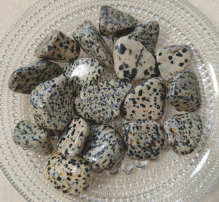 Dalmatian jaspis rumpuhiottu