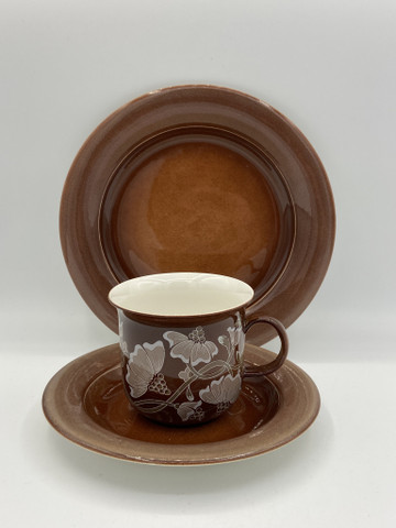 Arctica Kastanja kopp+fat+assiett